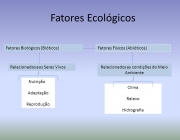 Fator Ambiental 6