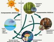 Fatores Abióticos Naturais 2