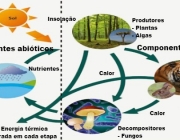 Fatores Abióticos Naturais 3