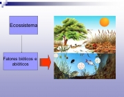 Fatores Abióticos Naturais 4