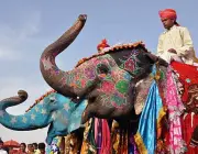 Festival dos Elefantes Indianos Pintados 2
