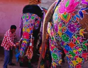 Festival dos Elefantes Indianos Pintados 3