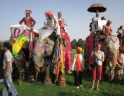 Festival dos Elefantes Indianos Pintados 4
