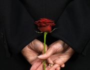 Woman Holding Red Rose Behind Back --- Image by © Bob Thomas/Corbis
