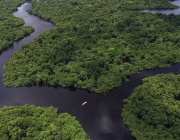 Floresta Amazônica 1