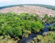 Floresta Amazônica 3