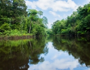 Floresta Amazônica 3