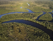 Floresta Amazônica 4