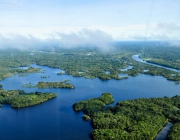 Floresta Amazônica 5