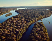 Floresta Amazônica 6