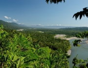 Floresta Amazônica 1