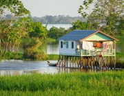 Floresta Amazônica 3