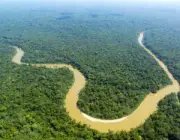 Floresta Amazônica 2