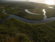 Floresta Amazônica 2