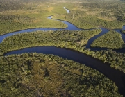 Floresta Amazônica 5