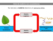 Ciclo da Matéria 2