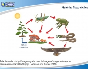 Matéria inorgânica. Adaptado de: <http:>. Acesso em 15 mar</http:>