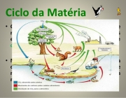 Ciclo da Matéria 6