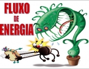 Fluxo de Energia 1