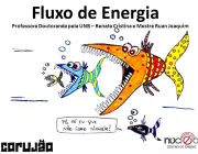 Fluxo de Energia Professora Doutoranda pela UNB – Renata Cristina e Mestre Ruan Joaquim