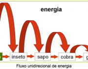 Fluxo de Energia 5