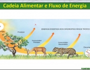 Fluxo de Energia 3