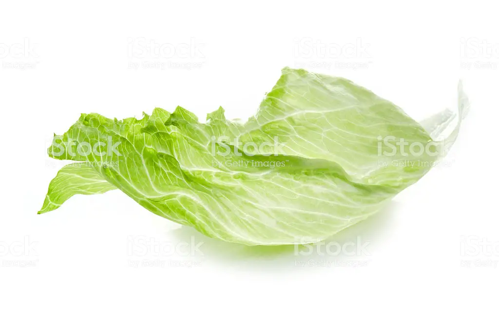 Leaf of Iceberg lettuce isolated on white background