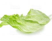 Leaf of Iceberg lettuce isolated on white background