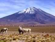 Fotos do Vulcão Licancabur 4