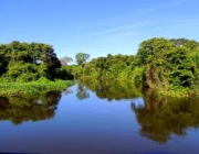 Pantanal 1