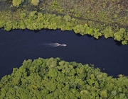 Pantanal 4