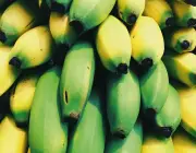 Fruta - Banana 3