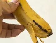Fruta - Banana 5
