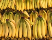 Fruta - Banana 6