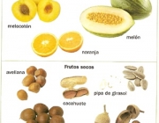 Frutos Carnosos 2