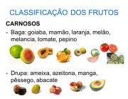 Frutos Carnosos 4