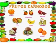 Frutos Carnosos 5