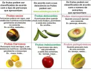 Frutos e Frutas 3