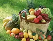 Frutos e Frutas 4
