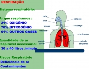 RESPIRAÇÃO. Sistema respiratório: Ar que respiramos : 21% OXIGÊNIO. 78% NITROGÊNIO. 01% OUTROS GASES. Quantidade de ar respirável necessário: 30 a 40 litros /minuto. Riscos Respiratório. Deficiência de ar. Contaminentes. nariz. boca. laringe. traquéia. pulmão. direito. esquerdo. brônquios. epligote. esôfago.