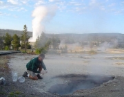 USGS Scientist Sampling Ear Spring, Wyoming. Old Faithful is Erupting in the Background