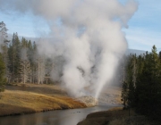 Geyser - Ear Spring 6