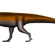 Glacialisaurus Hammeri 1