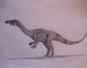 Glacialisaurus Hammeri 2