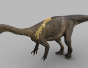 Glacialisaurus Hammeri 3