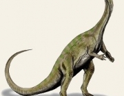 Glacialisaurus Hammeri 4