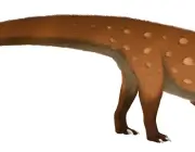 Glacialisaurus Hammeri 5