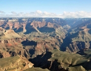 Grand Canyon Vegetação 2