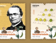 Gregor Johann Mendel E as Ervilhas 3