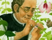 Gregor Johann Mendel E as Ervilhas 4